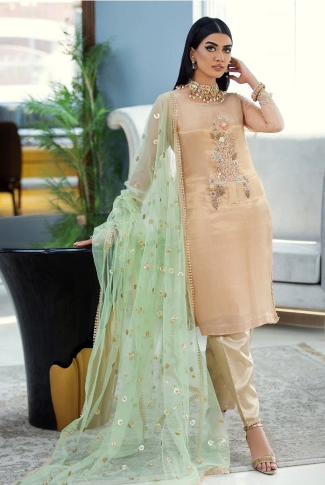 Pure resham mesuri embroidered shirt KB P220 - Pakistani women's luxury formal wear with banarsi jamawar trouser front view