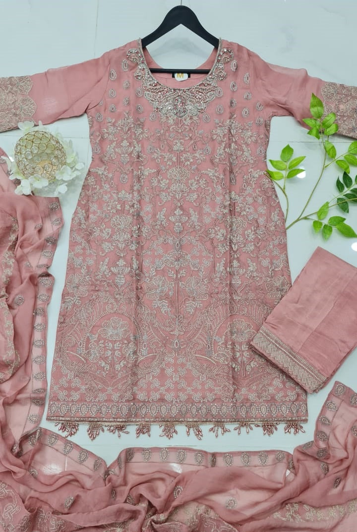 ABS 2854 Pakistani women's chiffon outfit full view