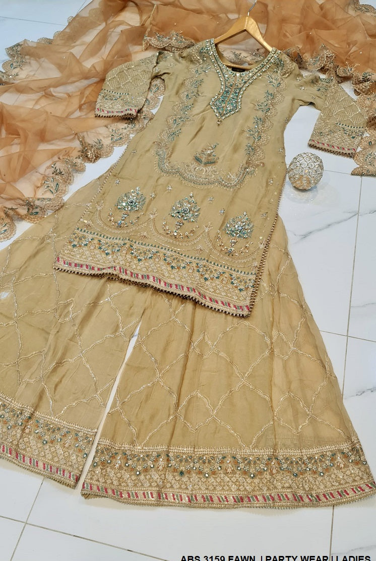 ABS 3159 Pakistani women's chiffon plazo outfit detail view
