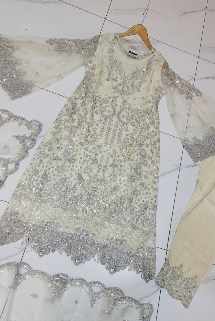 Pakistani women's off white organza A-Line shirt full view