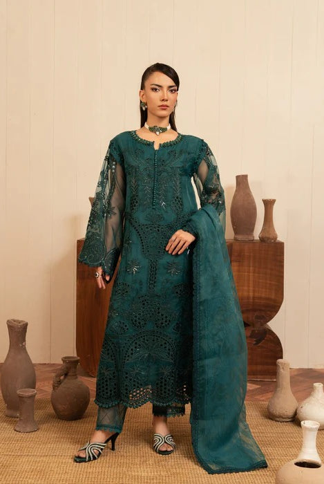 ABL 3984 Pakistani women's organza A-Line dress full view