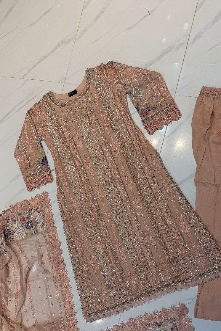 Pakistani women's tea pink chiffon straight shirt back view
