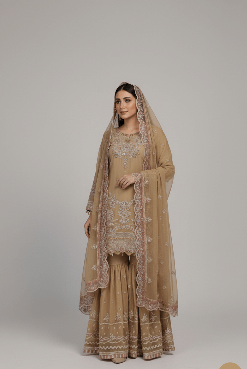 Pakistani women's skin chiffon short shirt sharara back view