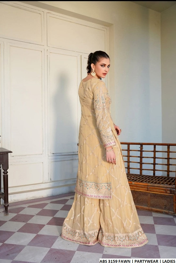 ABS 3159 Pakistani women's chiffon outfit with organza dupatta detail view