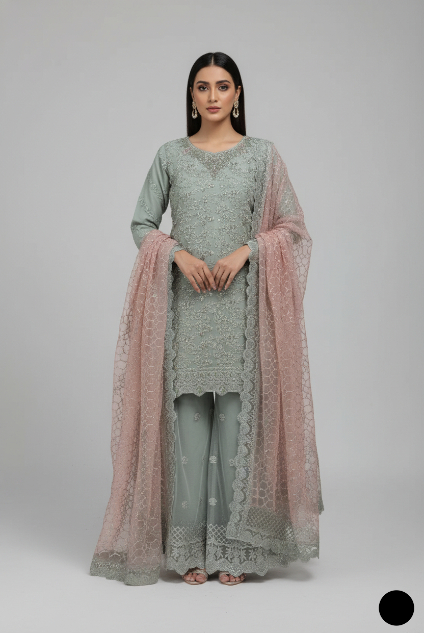 Organza straight shirt plazo ABS 3172 - Pakistani women's elegant formal wear with organza dupatta front view
