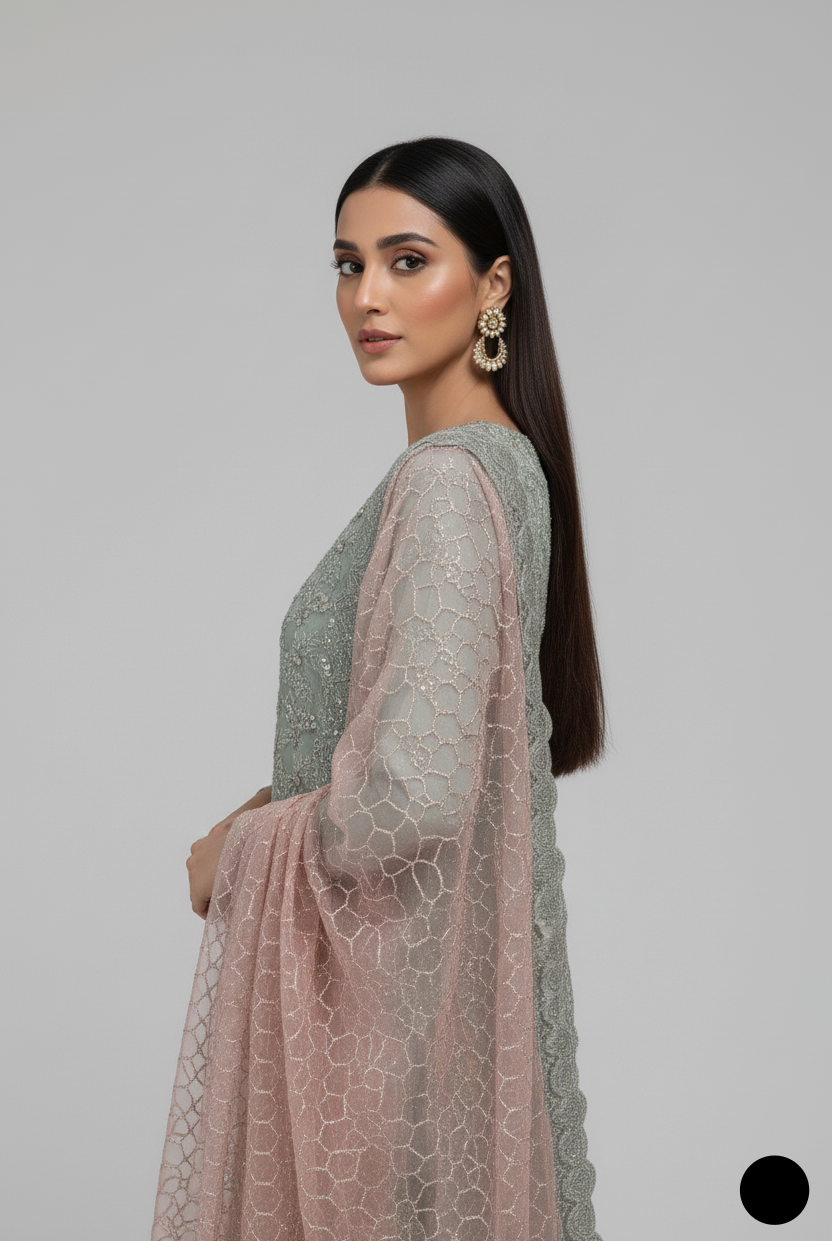 ABS 3172 Pakistani women's organza plazo outfit detail view