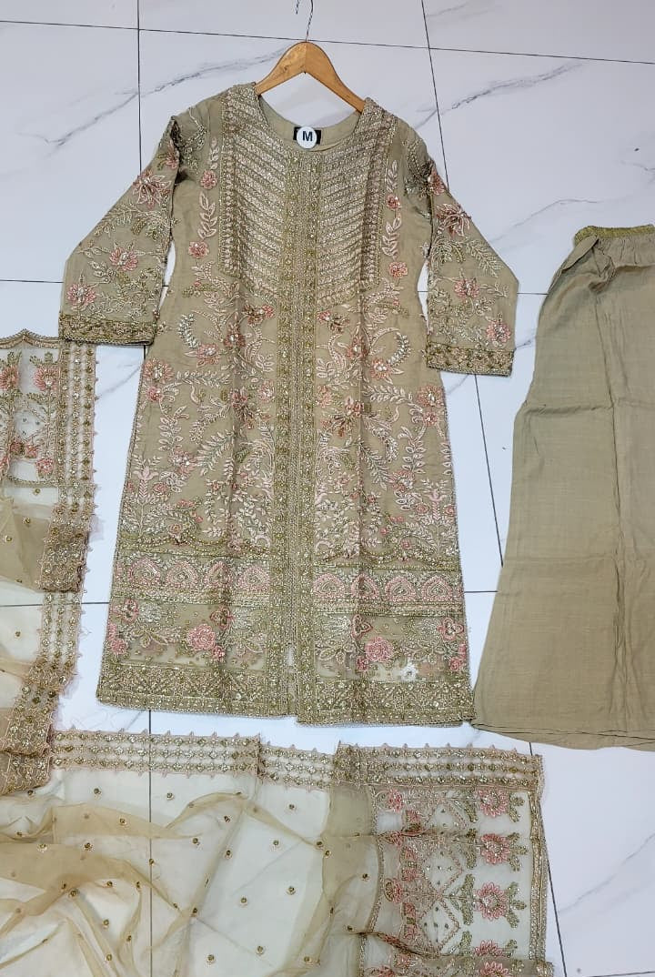 Pakistani women's skin organza straight shirt plazo full view